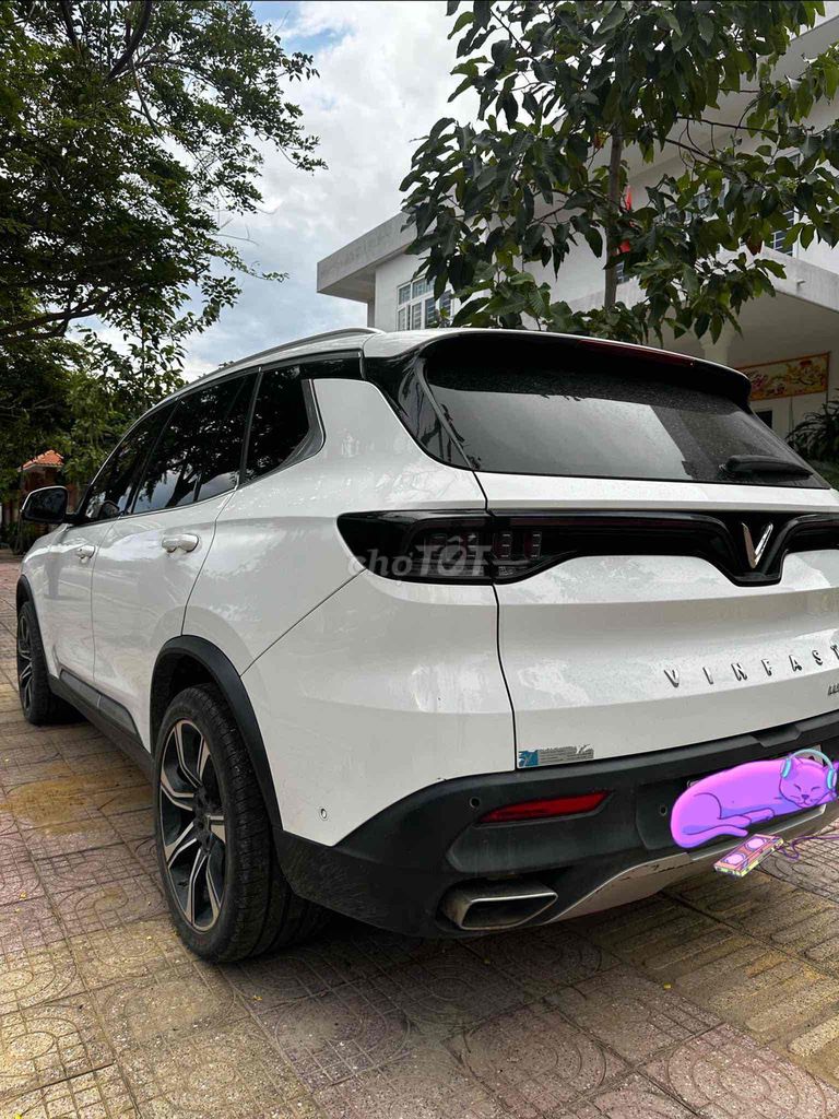 Ảnh số 5