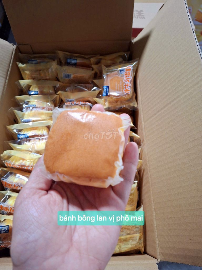 Bánh bông lan vị phô mai