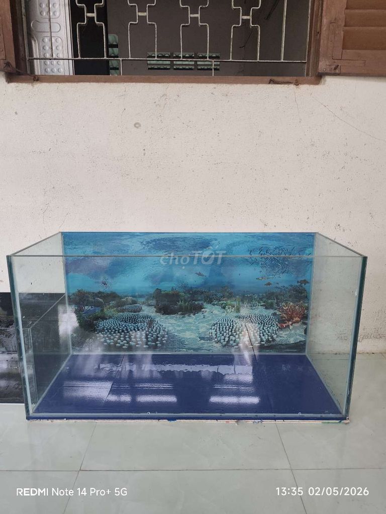 Bể cá cảnh kính cường lực 10li. Mua bán Phụ kiện, Thức ăn, Dịch vụ tại Huyện Cần Đước Long An được đăng bởi Sơn hình 1