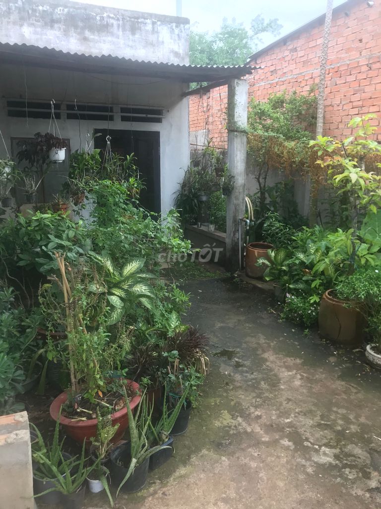 0981369809 - Đất Huyện Trảng Bom 243m²