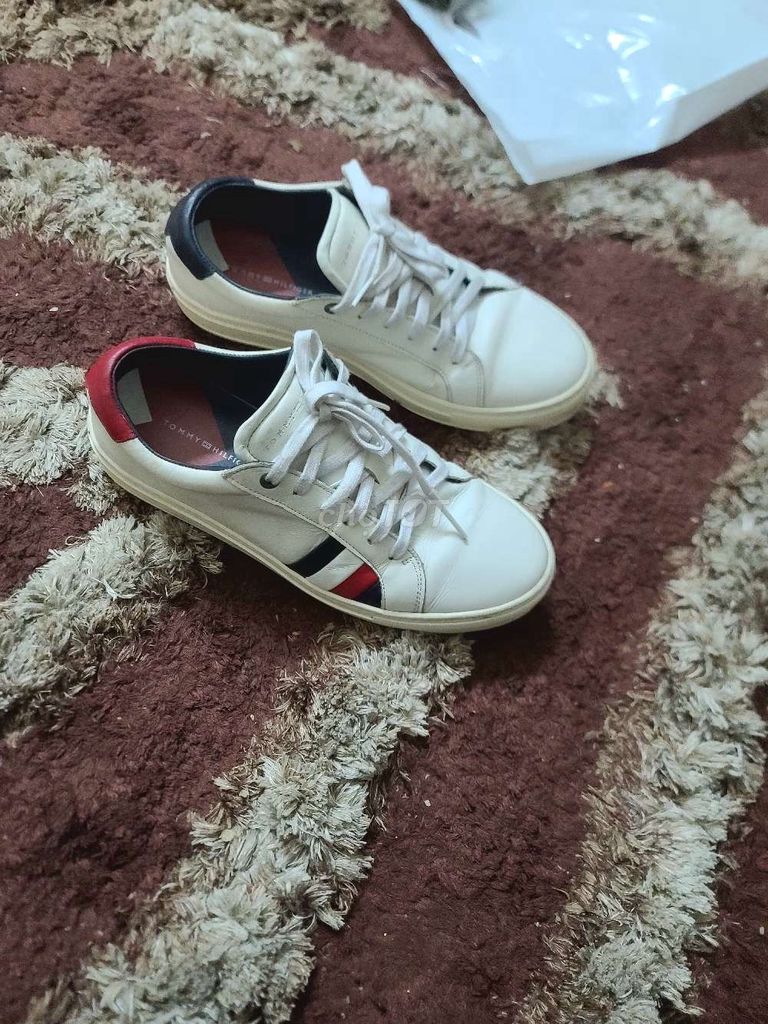 Sneaker Mỹ Tommy Hitfilger