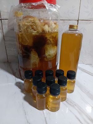 Mật ong rừng tự nhiên 100%,quê PHÚ YÊN gửi vào. Mua bán Đồ ăn, thực phẩm và các loại khác tại Quận Gò Vấp Tp Hồ Chí Minh được đăng bởi Bùi Văn Dũng
