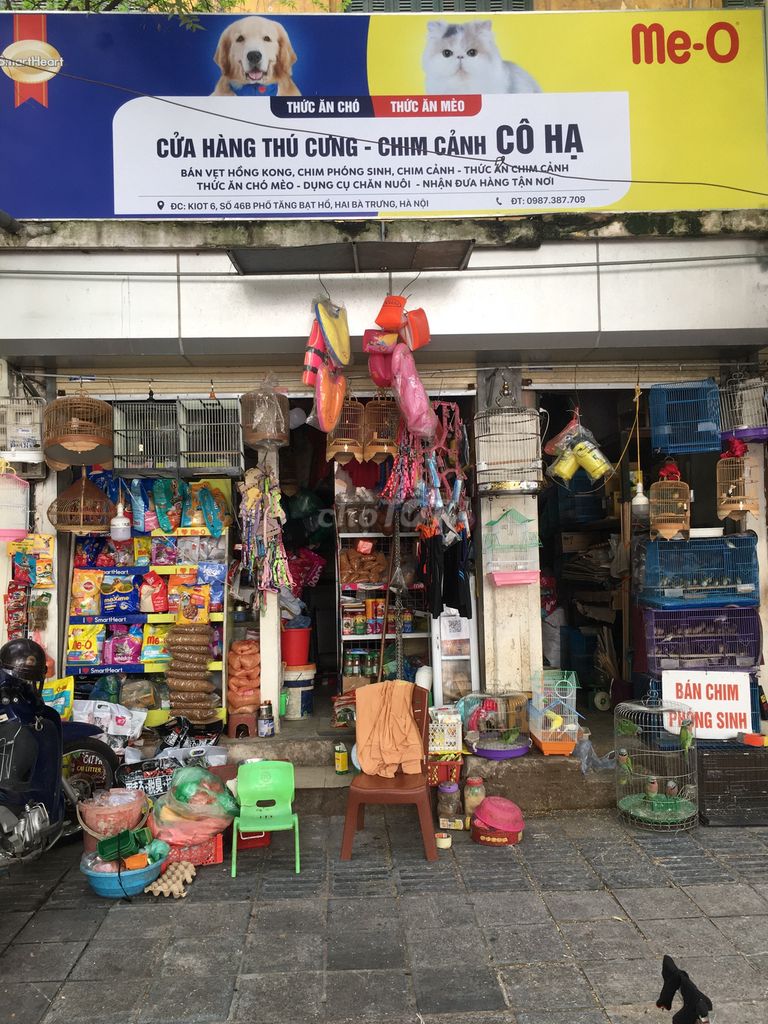 Cửa hàng thú cưng chim cảnh Cô Hạ tại Quận Hai Bà Trưng, Hà Nội hình 2