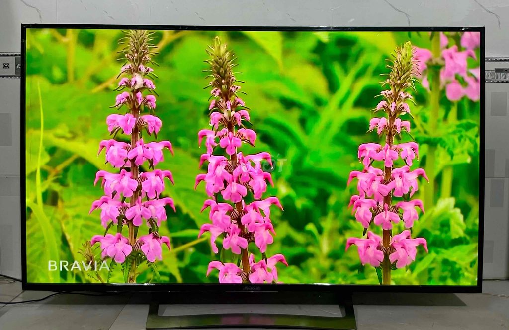 Smart Tivi Sony 4K 55inch Hoàn Hảo ✅✅