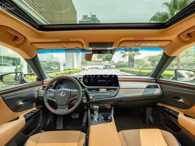 Ảnh số 2