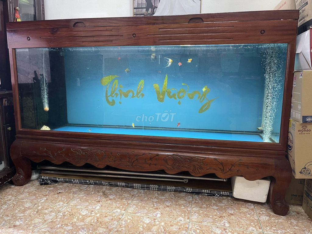 Hồ cá cảnh Gỗ Kính 1.8m x 60cm x 1.2m. Mua bán Thú cưng khác tại Quận Sơn Trà Đà Nẵng được đăng bởi trần văn minh hình 1