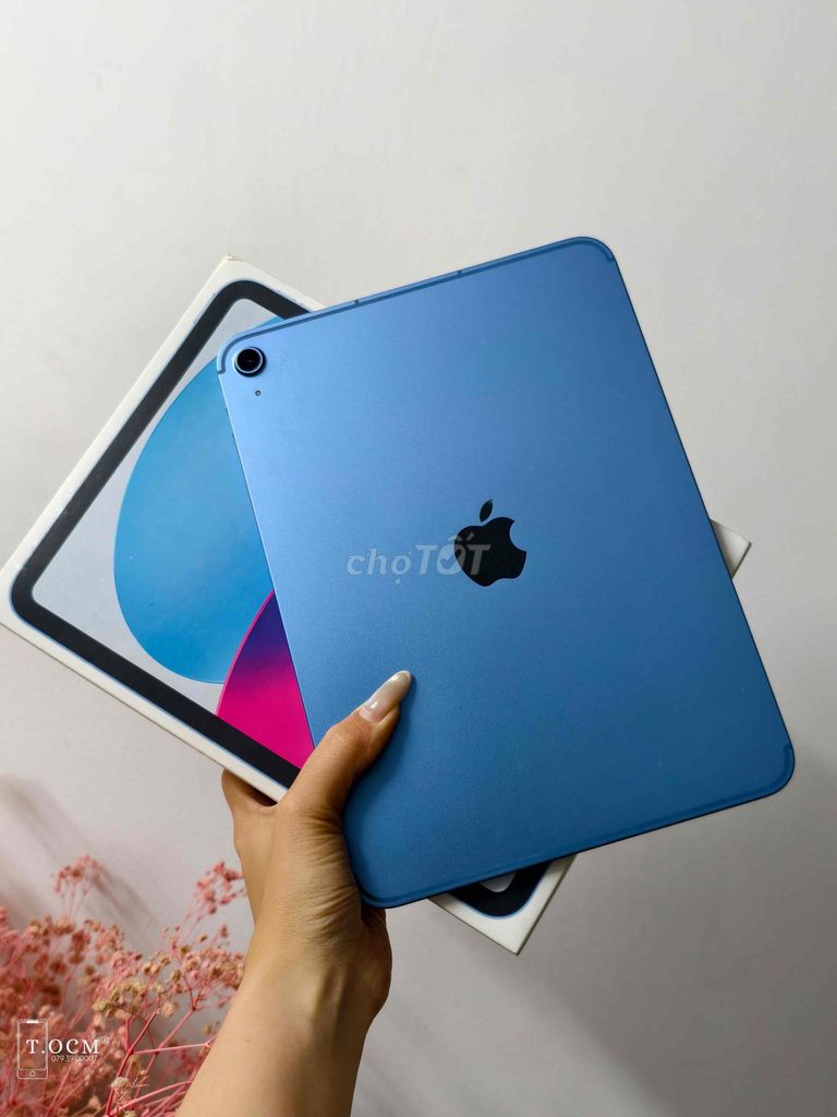 iPad Gen 11 256Gb 5G Chính Hãng Pin 100 Fullbox. Mua bán Máy tính bảng tại Quận 5 Tp Hồ Chí Minh được đăng bởi Ánh Nguyệt hình 1