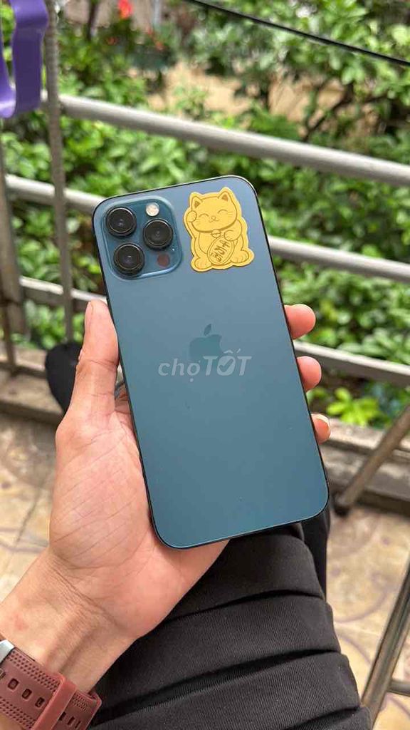 iPhone 12 Pro Max 256GB Xanh Hàn Quốc. Mua bán Điện thoại tại Quận Ba Đình Hà Nội được đăng bởi NAMTAOVIP OFFICIAL STORE hình 1