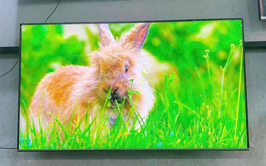 Tivi Samsung 55 inch 4K QLED. Mua bán Tivi, Âm thanh tại Quận Hoàng Mai Hà Nội được đăng bởi Bảo Hiền hình 1