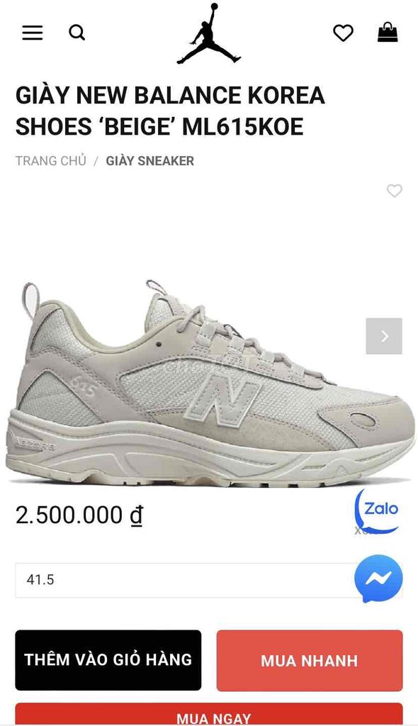 Giày thể thao New Balance