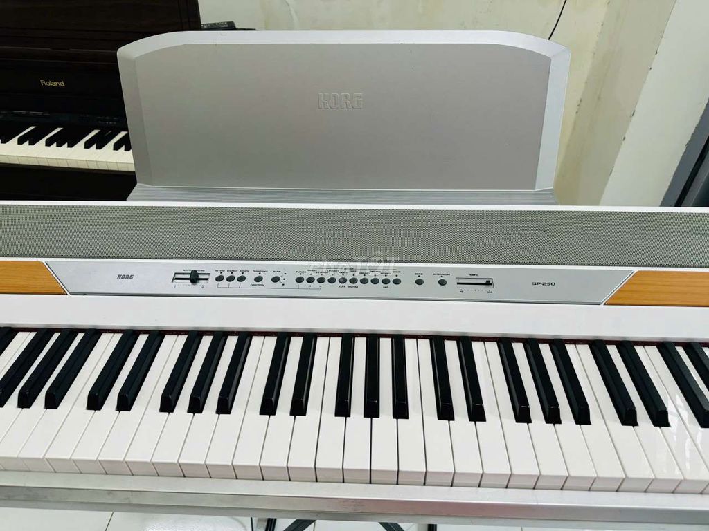 Korg SP250 nguyên zin