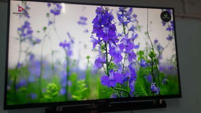 Tivi casper 32inch giọng nói. Mua bán Tivi, Âm thanh tại Huyện Châu Thành Tiền Giang được đăng bởi trongduy