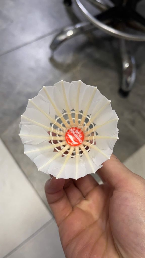 Cầu cao cấp lining 76