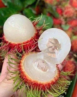 Chôm chôm Thái tươi ngon ngọt