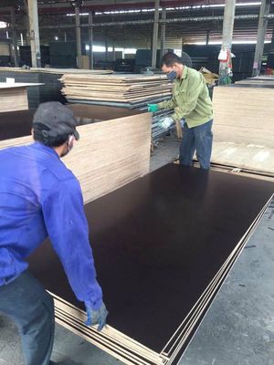 Ván Ép Cốp Pha Phủ Phim giá rẻ 230k - Hòa Bình. Mua bán Nội thất, đồ gia dụng khác tại Huyện Thạch Thất Hà Nội được đăng bởi Đỗ Thu Hòa