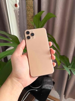 iPhone 11 Pro Gold Cũ Giá Rẻ | Chính Hãng, Xách Tay
