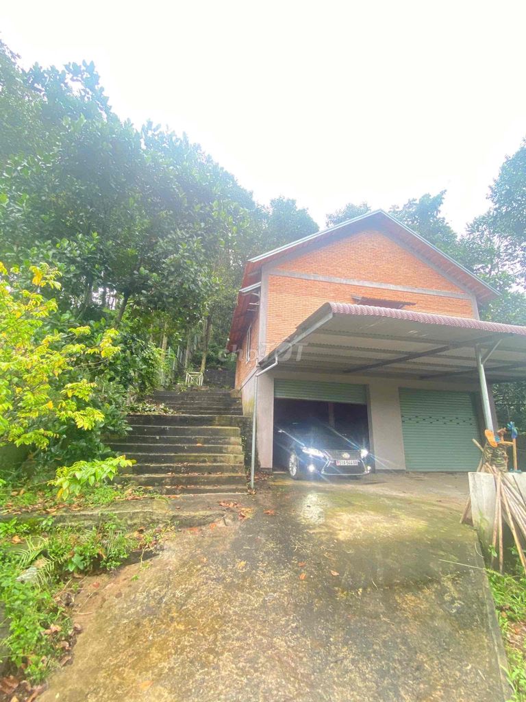 BÁN ĐẤT CĂN NHÀ VƯỜN XUÂN LẬP LONG KHÁNH 2ty3 823m