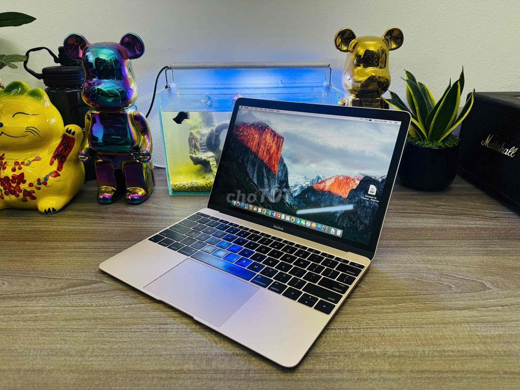 Thanh lý macbook 12” inch siêu mỏng. Mua bán Laptop tại Quận Đống Đa Hà Nội được đăng bởi Linh Kobe hình 4