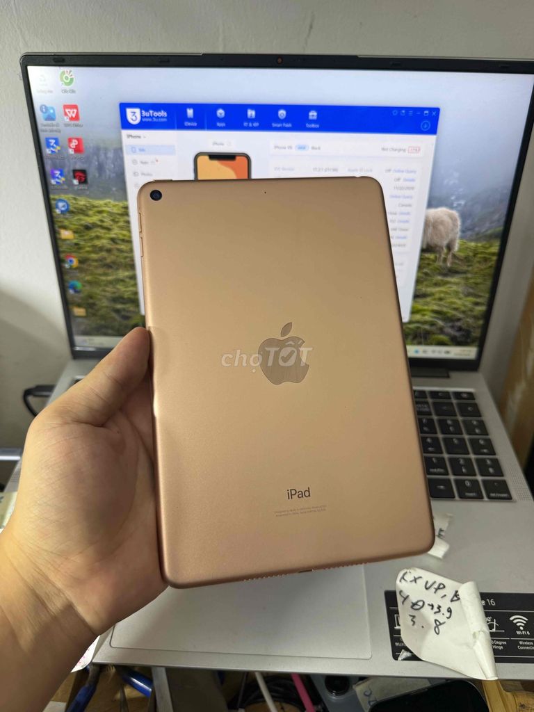 Apple iPad Mini 5 Wifi 64GB Vàng Đồng Màn hình sọc. Mua bán Máy tính bảng tại Quận Đống Đa Hà Nội được đăng bởi Hoàng quân store hình 1