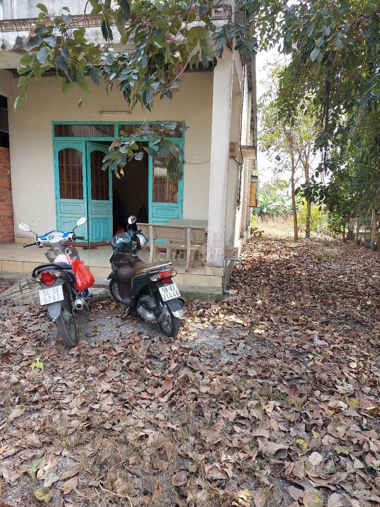 Đất sổ đỏ 501,7 m2 đường Hẻm 201 Xã Phú hòa Đông H. Củ Chi TP.HCM