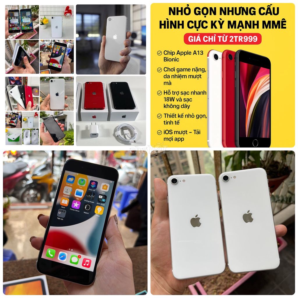 iphone SE 3 và SE 2 QT 128G|64G|256G Có BH|Có ship. Mua bán Điện thoại tại Quận 3 Tp Hồ Chí Minh được đăng bởi Thảo Anh Apple Giá sỉ hình 1