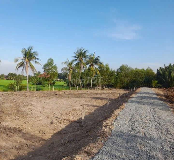 Hàng ngộp, 500m2 đất vườn view kênh đường ô tô chỉ 460tr. Mua bán đất tại Huyện Bến Lức Long An được đăng bởi Hùng Lê hình 3