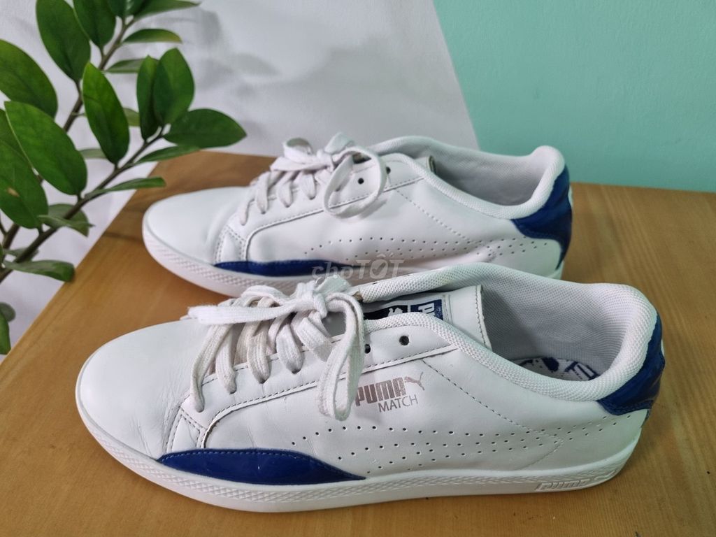 Thanh lý Giày Puma Basic Size 38.5 (Chính hãng)