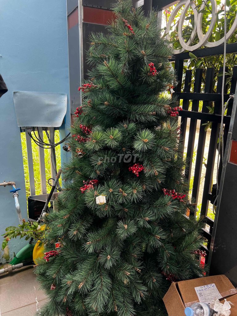 Cây thông Noel Nhựa Xanh lá, Đỏ. Mua bán Cây cảnh, đồ trang trí tại Huyện Trảng Bom Đồng Nai được đăng bởi Mỹ Tiên hình 1