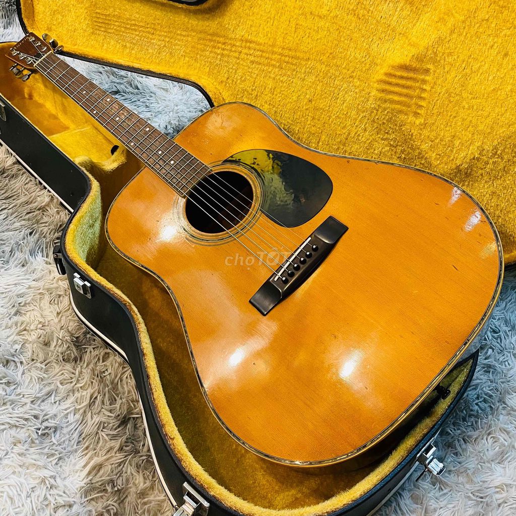 Guitar Morris W-25 tem cổ âm hay