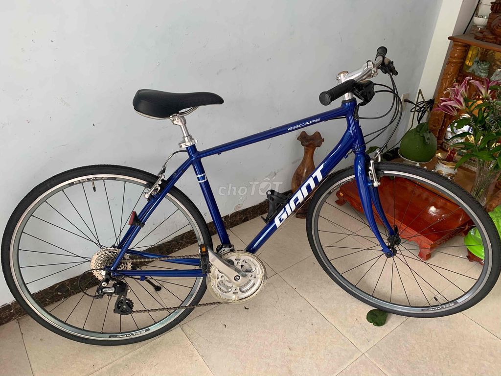 Bán xe thể thao chính hãng Giant xịn. Mua bán Xe đạp tại Quận Cẩm Lệ Đà Nẵng được đăng bởi datmasuto hình 3