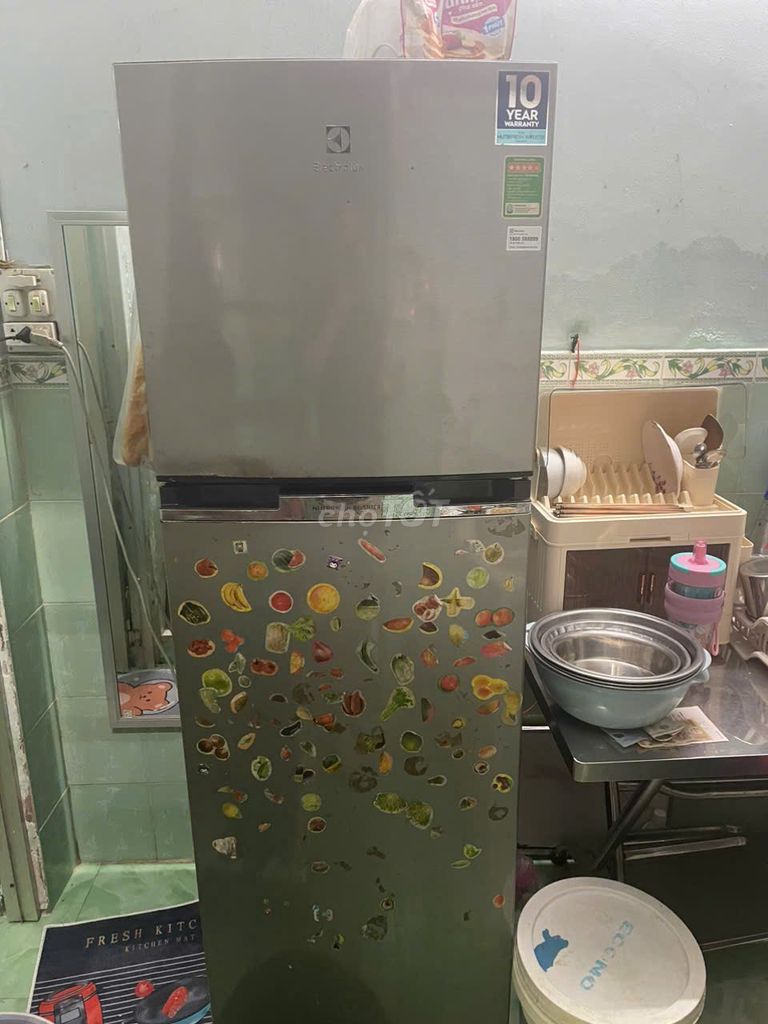 Tủ lạnh Electrolux ETB2600MG 260L chảy nước. Mua bán Tủ lạnh tại Quận 8 Tp Hồ Chí Minh được đăng bởi Long hình 1