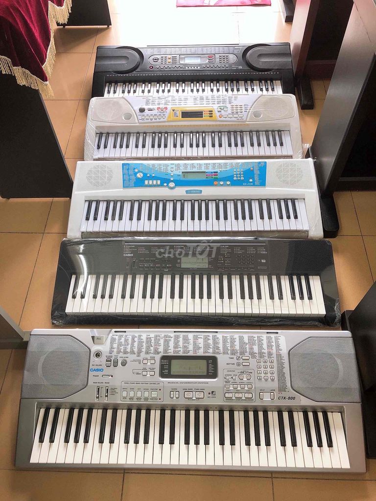 Lô 15 Cây Organ Nhật Nguyên Bản, Giá Cực Tốt Ạ