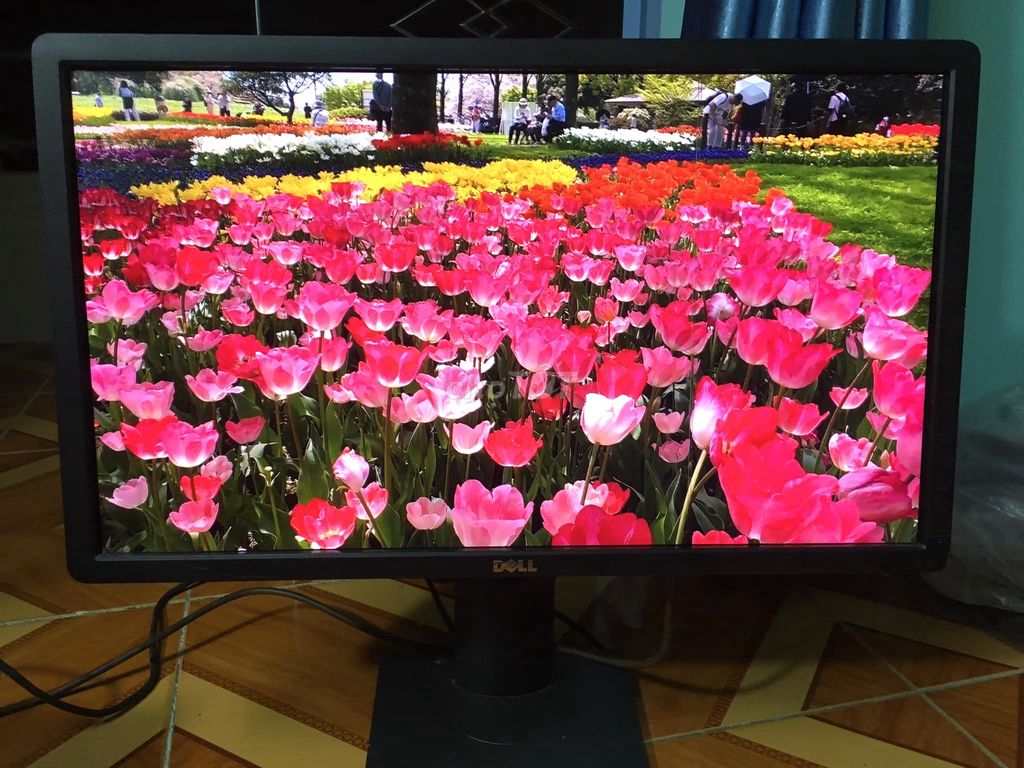 Màn DELL led 23" full HD lỗi chỉ mờ như hình