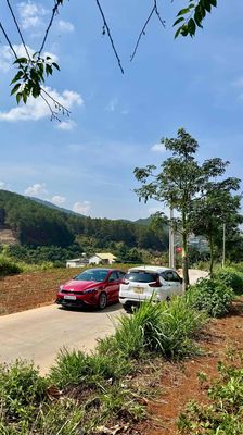 bán đất giá đầu tư cực kỳ rẻ. tp Đà Lạt. Mua bán đất tại Thành phố Đà Lạt Lâm Đồng được đăng bởi Lê xuân hồng