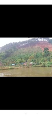 Bán nhà rẫy. Mua bán đất tại Huyện Đắk Song Đắk Nông được đăng bởi Nguyễn Thế Hoà