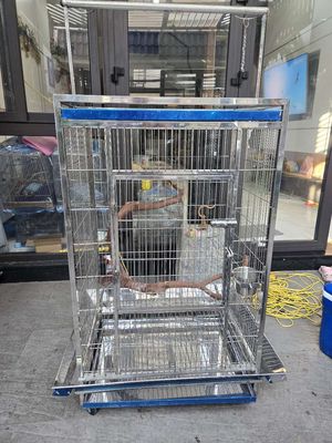 BÁN LỒNG VẸT MỚI 99%. Mua bán Phụ kiện, Thức ăn, Dịch vụ tại Quận Gò Vấp Tp Hồ Chí Minh được đăng bởi hung