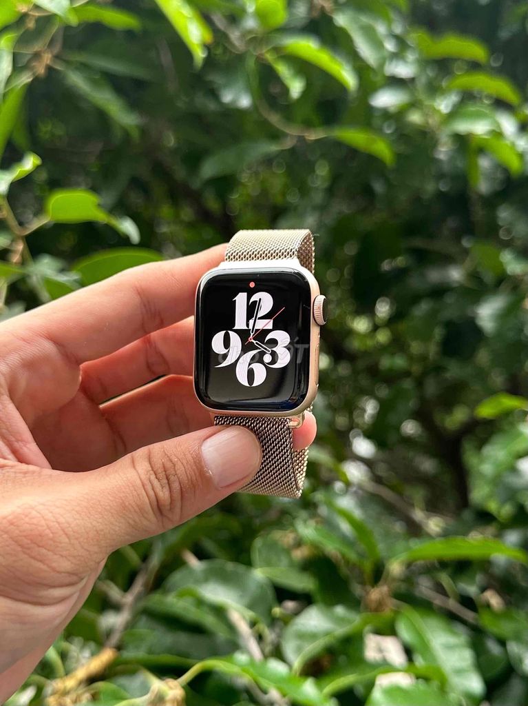 Apple Watch Series 4 40mm Rosegold