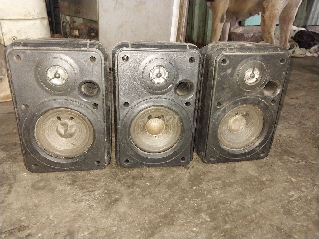 Loa JBL Control 1. Mua bán Tivi, Âm thanh tại Huyện Bình Chánh Tp Hồ Chí Minh được đăng bởi Anh hình 1