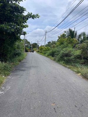 Đất 125 m² · Chiến Lược