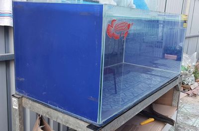 Thanh lý hồ cá rồng 1m2×60×50 đáy12li,có kiềngkính