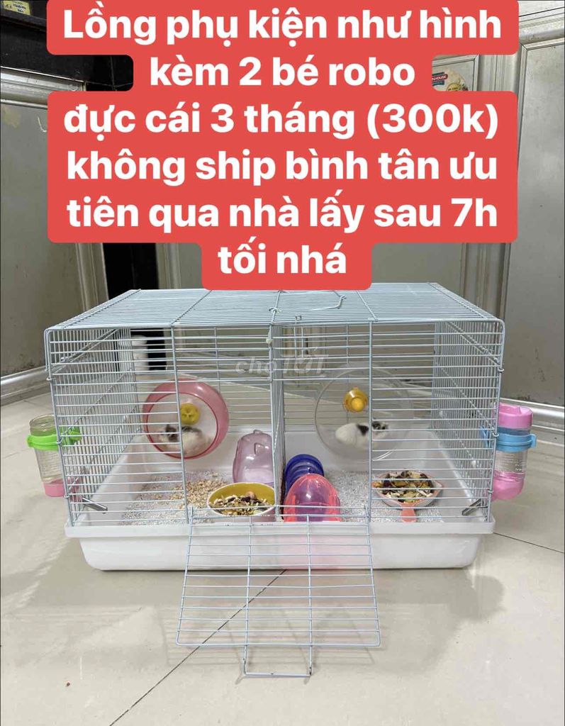 lồng chuồng chuột hamster robo