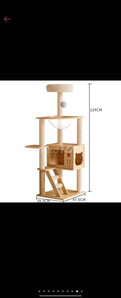Nhà Mèo Cattree giá rẻ. Mua bán Phụ kiện, Thức ăn, Dịch vụ tại Quận 1 Tp Hồ Chí Minh được đăng bởi Phan Truc Lam hình 1