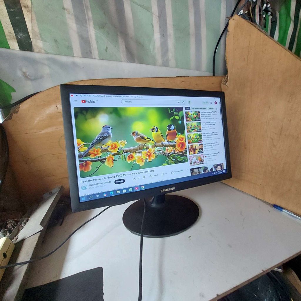 Màn hình Samsung LED 19 inch Đen. Mua bán Phụ kiện (Màn hình, Chuột...) tại Quận 11 Tp Hồ Chí Minh được đăng bởi hb computer hình 1