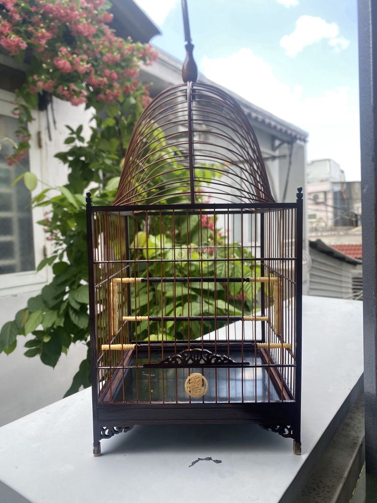 Lồng chim Gỗ Mái Vòm Nâu. Mua bán Phụ kiện, Thức ăn, Dịch vụ tại Quận 7 Tp Hồ Chí Minh được đăng bởi Nguyễn Ngọc Huy hình 1