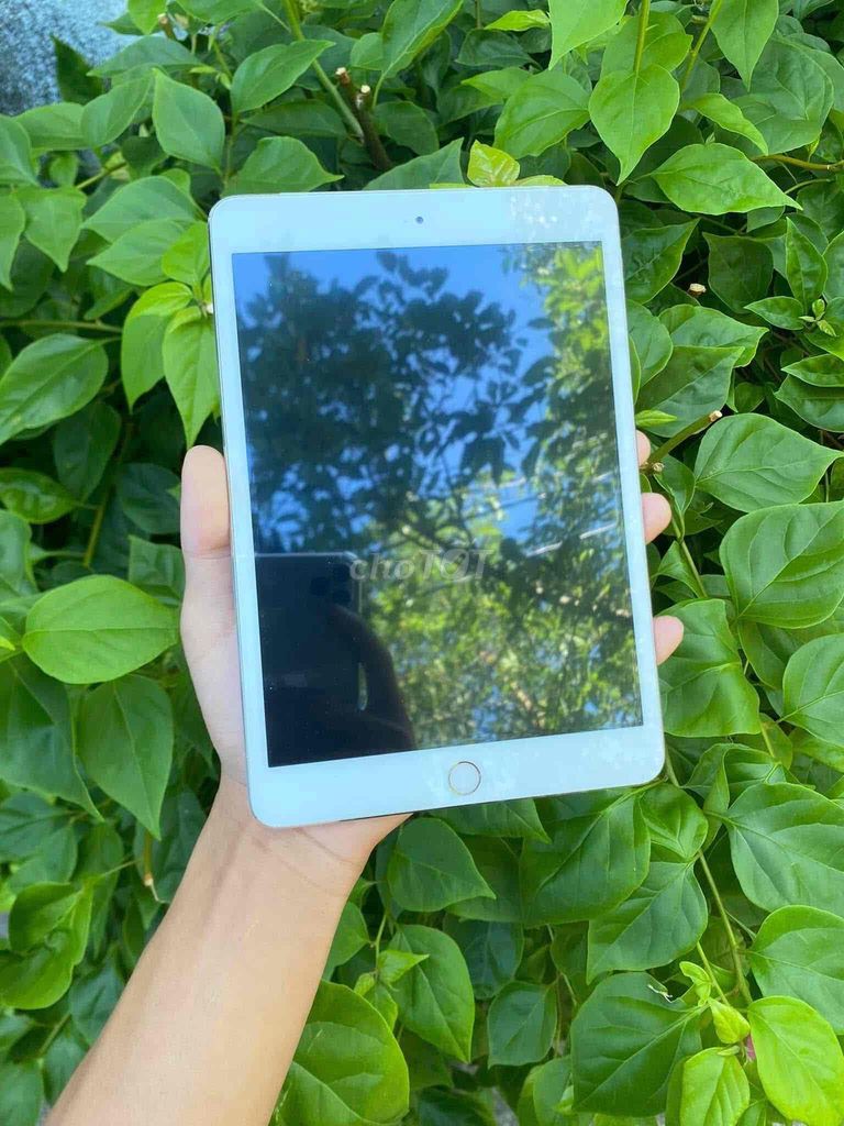 Cần bán iPad Mini 2