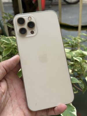Apple iPhone 12 Pro Max Vàng