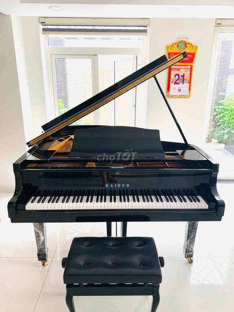 Grand Piano Nhật Bản chính hãng