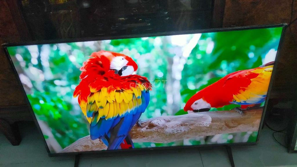 smart tv TCL43IN 4k giọng nói belutooth youtube. Mua bán Tivi, Âm thanh tại Huyện Bình Chánh Tp Hồ Chí Minh được đăng bởi Pham vinh hình 1