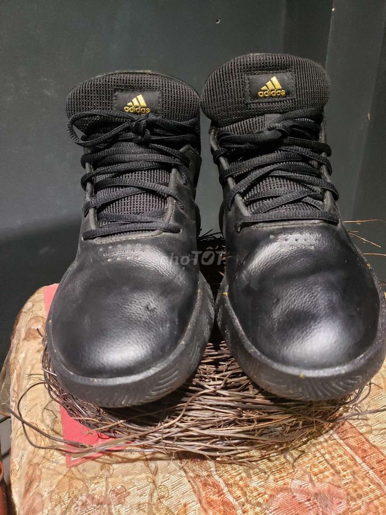 Cần bán đôi adidas ownthegame black matte gold