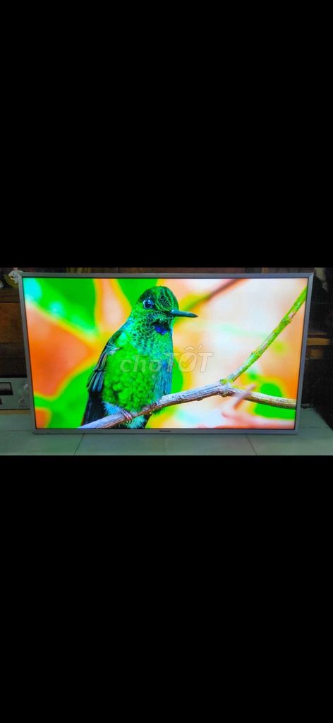 Tivi led Panasonic 43 in đang xài rất đẹp . Mua bán Tivi, Âm thanh tại Huyện Bình Chánh Tp Hồ Chí Minh được đăng bởi pham quang vinh hình 1